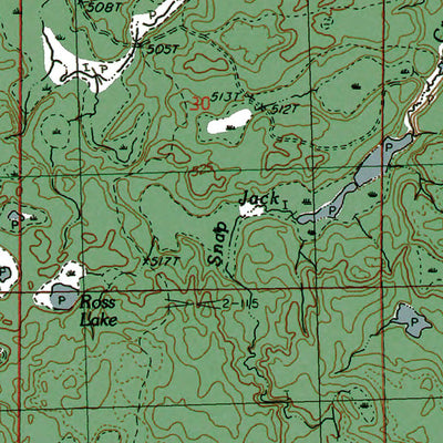 Western Michigan University MI-Beaton: Authoritative US Topos 1982 digital map