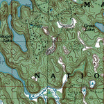 Western Michigan University MI-Big Blue Lake: Authoritative US Topos 1985 digital map