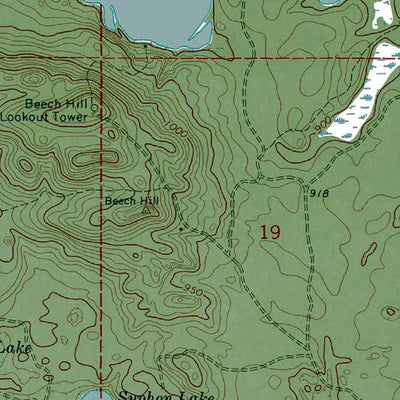 Western Michigan University MI-Buckeye Lake: Authoritative US Topos 1973 digital map
