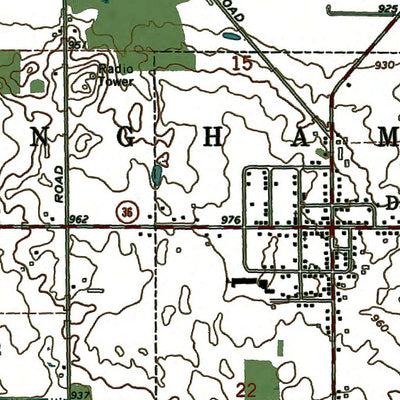 Western Michigan University MI-Dansville: Authoritative US Topos 1970 digital map