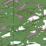 Western Michigan University MI-Fibre: Authoritative US Topos 1953 digital map