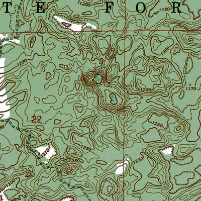Western Michigan University MI-Grayling: Authoritative US Topos 1950 digital map