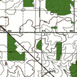 Western Michigan University MI-Hoytville: Authoritative US Topos 1980 digital map