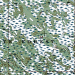 Western Michigan University MI-Marsh Creek Pool NW: Authoritative US Topos 1972 digital map