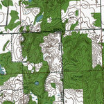 Western Michigan University MI-North Branch: Authoritative US Topos 1963 digital map