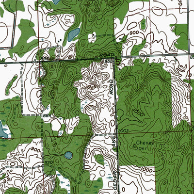Western Michigan University MI-North Branch: Authoritative US Topos 1963 digital map