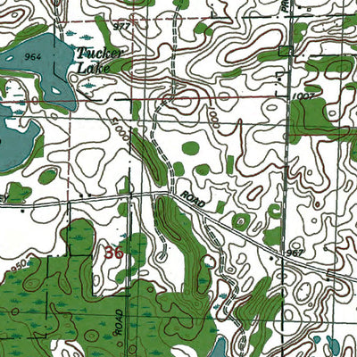 Western Michigan University MI-Norvell: Authoritative US Topos 1980 digital map