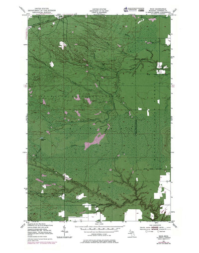Western Michigan University MI-Raco: Authoritative US Topos 1951 digital map