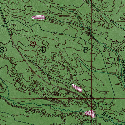 Western Michigan University MI-Raco: Authoritative US Topos 1951 digital map