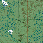 Western Michigan University MI-Ralph NE: Authoritative US Topos 1955 digital map
