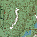 Western Michigan University MI-Turtle Lake: Authoritative US Topos 1950 digital map