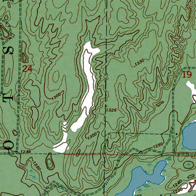 Western Michigan University MI-Turtle Lake: Authoritative US Topos 1950 digital map