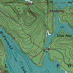 Western Michigan University MN-ONT-Pine Lake East: Authoritative US Topos 1959 digital map
