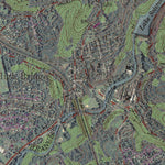 Western Michigan University NJ-High Bridge: GeoChange 1942-2010 digital map
