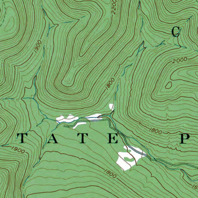 Western Michigan University NY-Limestone: Authoritative US Topos 1961 digital map