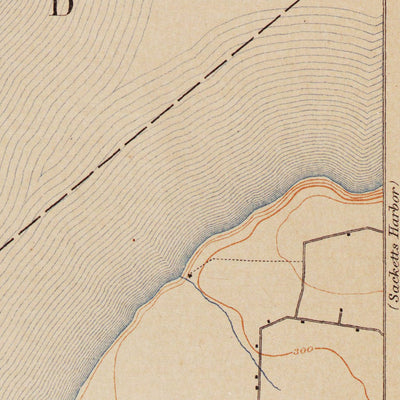 Western Michigan University NY-Stony Island: Authoritative US Topos Historical 1895 digital map