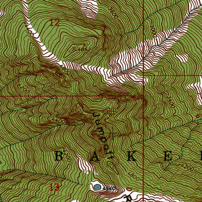 Western Michigan University WA-Baring: Authoritative US Topos 1965 digital map