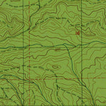 Western Michigan University WA-Blaney Creek: Authoritative US Topos 1986 digital map
