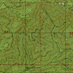 Western Michigan University WA-Blaney Creek: Authoritative US Topos 1986 digital map