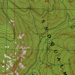 Western Michigan University WA-Blowout Mountain: Authoritative US Topos 1989 digital map