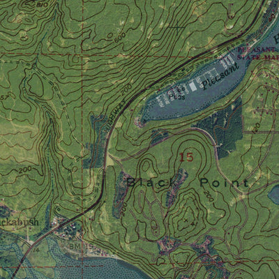 Western Michigan University WA-Brinnon: GeoChange 1951-2011 digital map