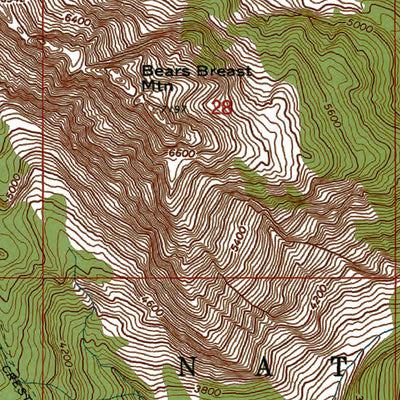 Western Michigan University WA-Mount Daniel: Authoritative US Topos 1965 digital map