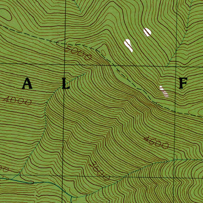 Western Michigan University WA-Packwood Lake: Authoritative US Topos 1989 digital map