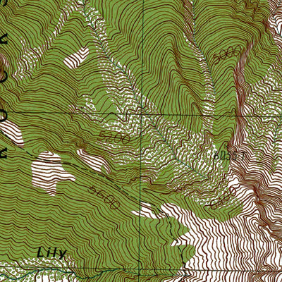 Western Michigan University WA-Packwood Lake: Authoritative US Topos 1989 digital map