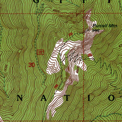 Western Michigan University WA-Purcell Mnt: Authoritative US Topos 1994 digital map