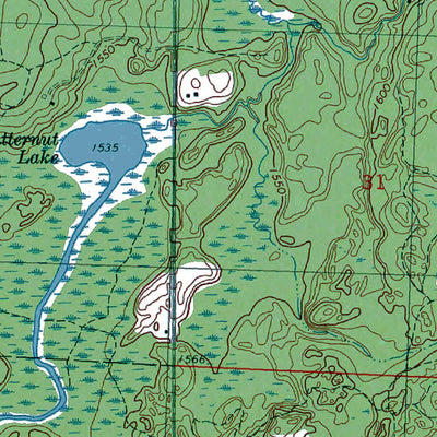 Western Michigan University WI-Butternut: Authoritative US Topos 1984 digital map