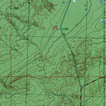 Western Michigan University WI-Gurney: Authoritative US Topos 1945 digital map