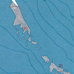 Western Michigan University WI-Long Island: Authoritative US Topos 1964 digital map