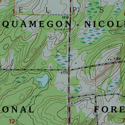 Western Michigan University WI-MI-Phelps: Authoritative US Topos 1999 digital map