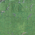 Western Michigan University WI-MN-Danbury West: GeoChange 1979-2009 digital map