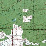 Western Michigan University WI-Pioneer Lake: Authoritative US Topos 1981 digital map