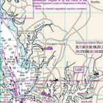 Williams & Heintz Map Corporation Chesapeake Bay: Sharps Island Light to Cove Point digital map
