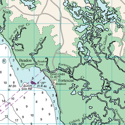 Delaware Bay: Nantuxent Point to Moores Beach Preview 3