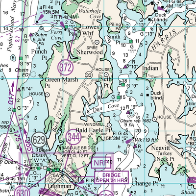 Eastern Chesapeake Bay, Miles and Choptank Rivers Preview 3
