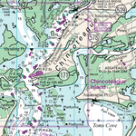 Gargathy Inlet to Chincoteague Island Preview 3