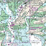 Gargathy Inlet to Chincoteague Island Preview 3