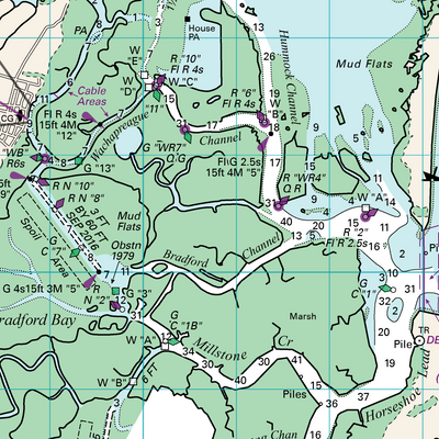 Quinby Inlet to Metompkin Inlet Preview 2