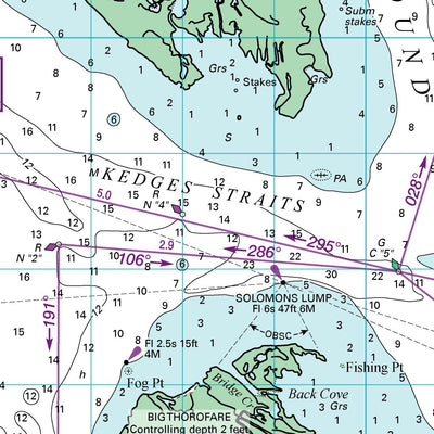 Williams & Heintz Map Corporation WH Chart 17, Hooper Strait to Smith Island (Tangier Sound) digital map