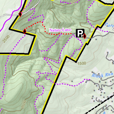 Allegheny Wildlife Management Area Preview 3