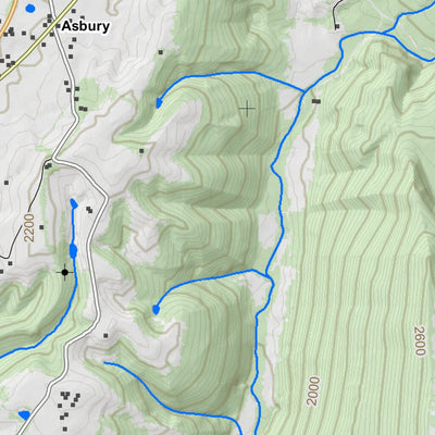 WV Division of Natural Resources Asbury Quad Topo - WVDNR digital map