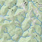 WV Division of Natural Resources Bens Run Quad Topo - WVDNR digital map