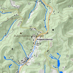 WV Division of Natural Resources Bentree Quad Topo - WVDNR digital map