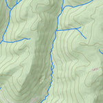WV Division of Natural Resources Bergoo Quad Topo - WVDNR digital map