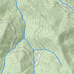 WV Division of Natural Resources Bergoo Quad Topo - WVDNR digital map