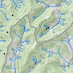 WV Division of Natural Resources Big Isaac Quad Topo - WVDNR digital map