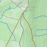 WV Division of Natural Resources Blackbird Knob Quad Topo - WVDNR digital map